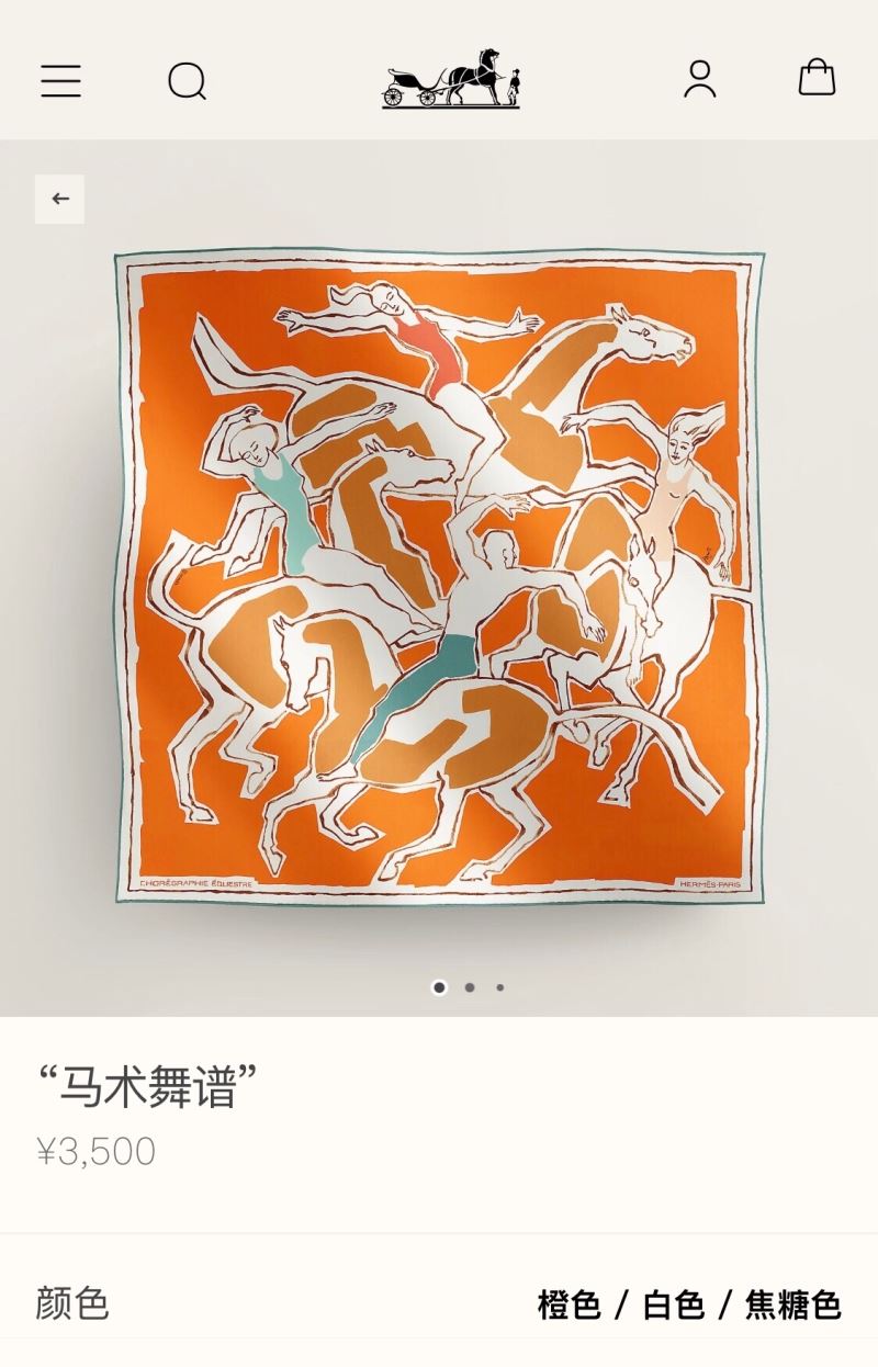 Hermes Scarf